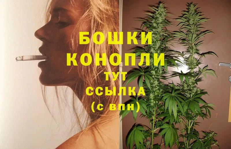 наркота  Алексеевка  Марихуана Ganja 